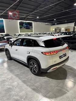 بي واي دي سونغ L DM-i